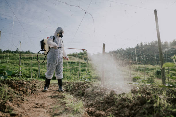 Best Local Pest Control Services  in Kensington, MD