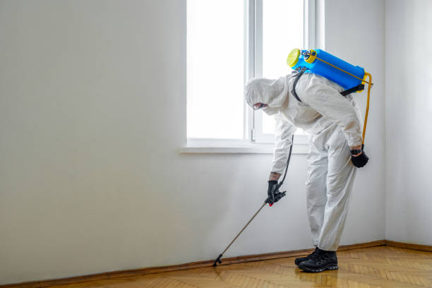 Wildlife Control Services in Kensington, MD