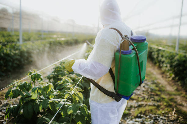 Professional Pest Control in Kensington, MD